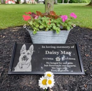 More Than a Stone: A Custom Memorial Gift for a Beloved Dog